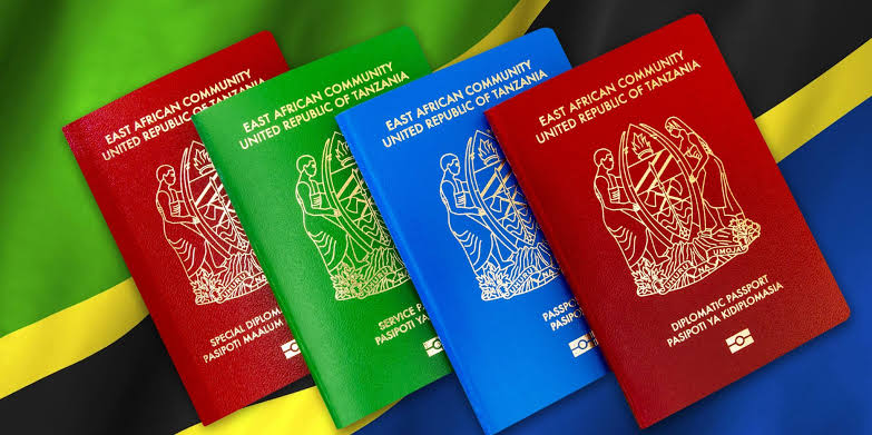 most-powerful-passports-in-africa,-2025