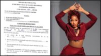 tns-drags-sheebah-to-court-in-copyright-dispute