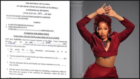 tns-drags-sheebah-to-court-in-copyright-dispute